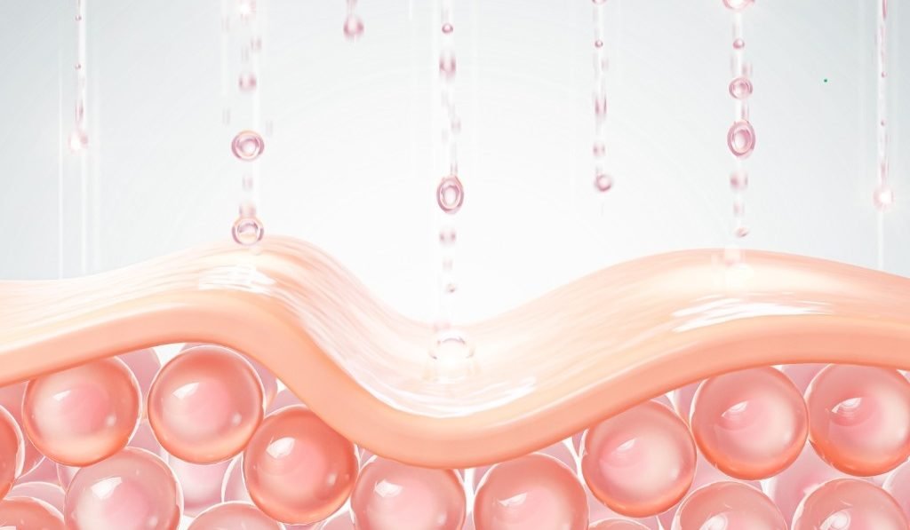 Collagen Science Insights Collagen Science Insights